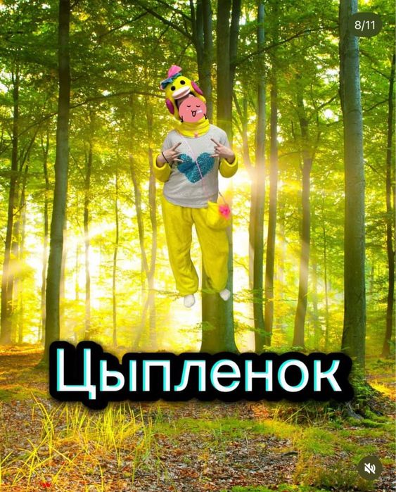 Аниматоры, костюмы