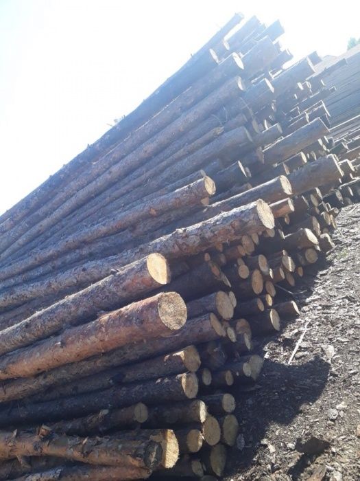 Доски Оптом Астана Караганда