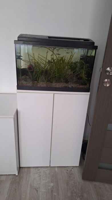 Acvariu cu stand , 60 litrii , cu pești guppy