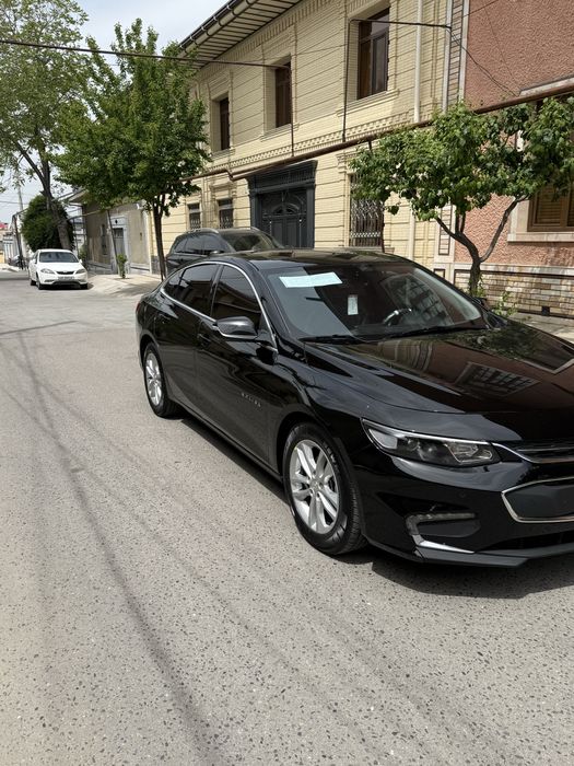 malibu 2 xolati zuridan