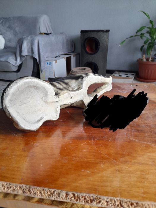 Цветарник,Старо Керамично куче и Испанска кожена  манерка