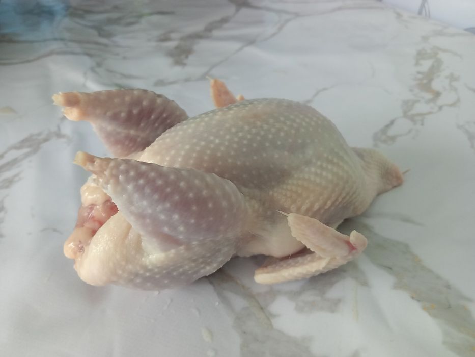 Продам домашнее мясо перепелов.