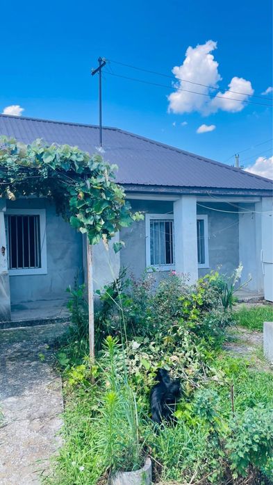 De vanzare casa in Turnul Magurele la intrare in comuna Lita.