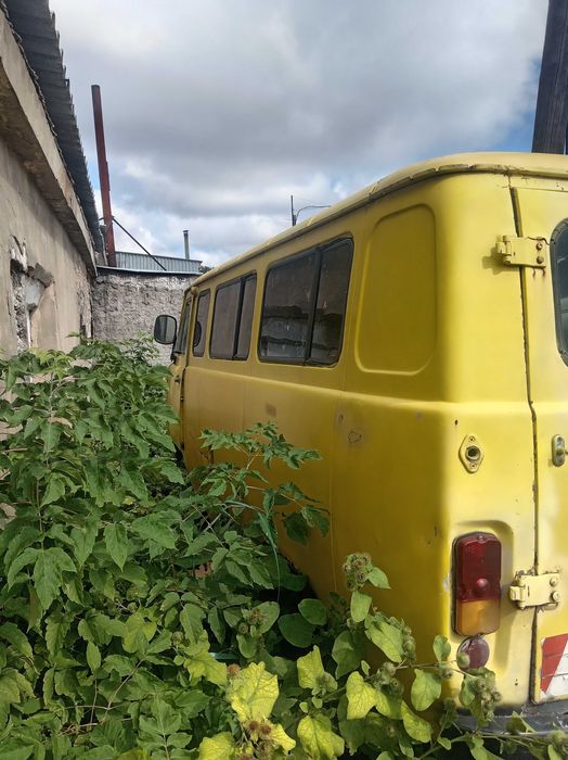 Продам  хорошую лошадку