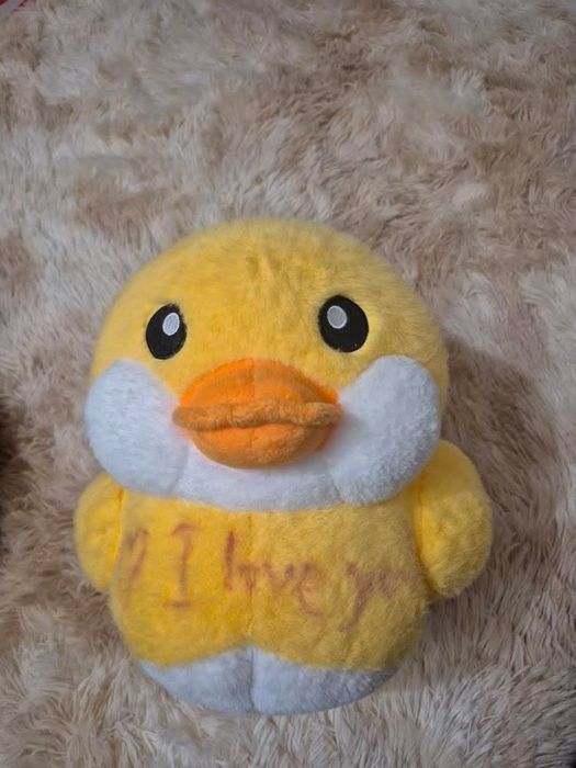 Плушени играчки 40 евро