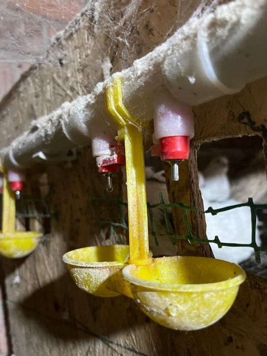 Продам клетки для перепелов срочно продаю