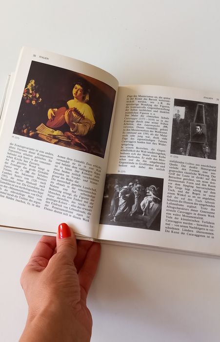 Книга с разходка из галериите в Европа