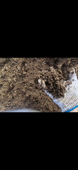 Перегной, навоз, чернозем