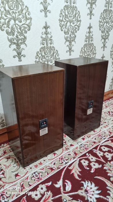 Radiotehnika S-50 sotiladi