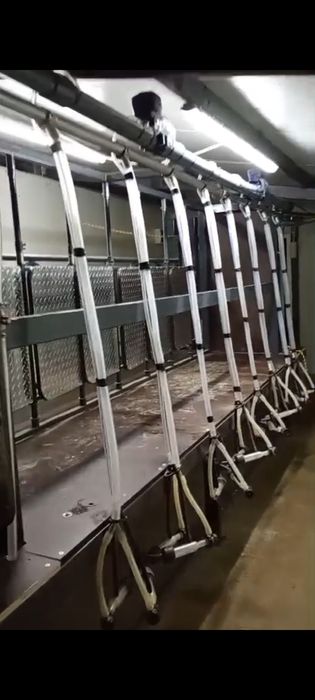 Stand de muls oi sau capre cu ieșire rapidă