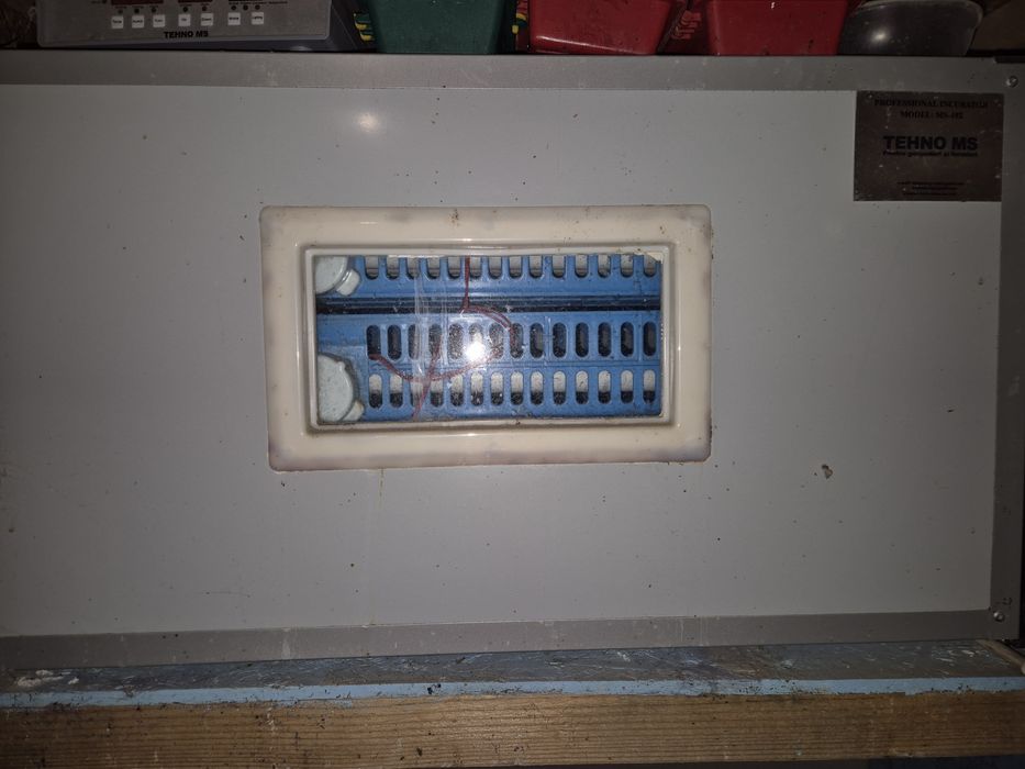 Incubator prepelite gaini