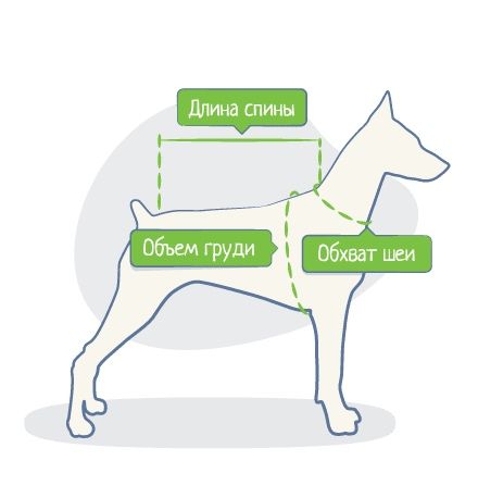 Одежда для животных