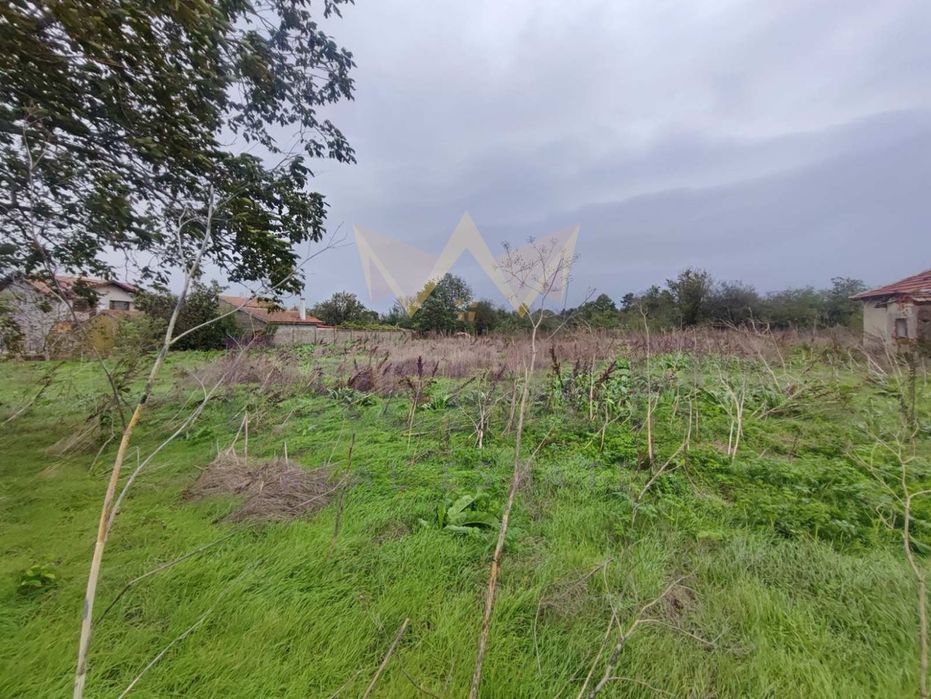 Продава се Парцел в с. Царичино, Област Добрич - 2500 кв.м за 22 €/кв.м - Снимка #1