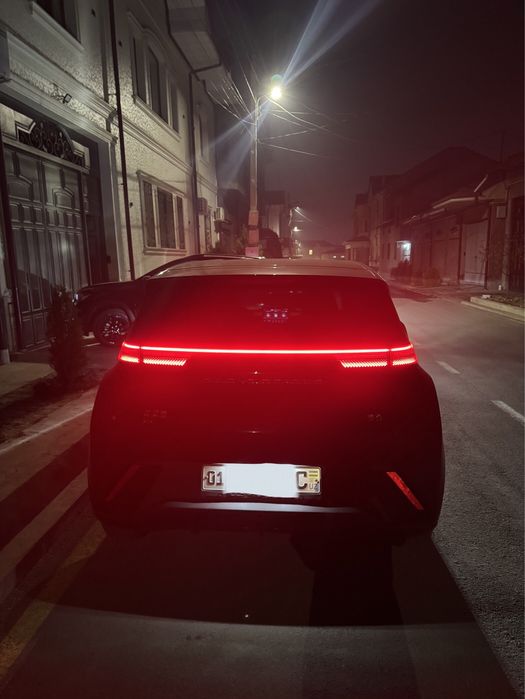 Bud seagull Черный