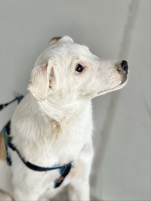 Принцесса Татка ждет своих мам-пап!