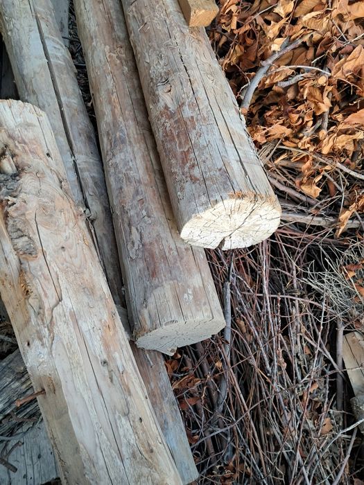 Bolor. Sotiladi hamasi zõr holatda