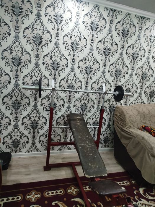 Shtanga zavodskiy, lejak tepa past buladi, oyoqqa ishlaydigan toshlari