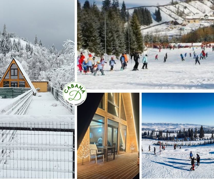 Cabana D Toplița, de închiriat.