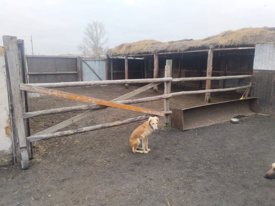 Дом в селе Коянды (Экибастуз)