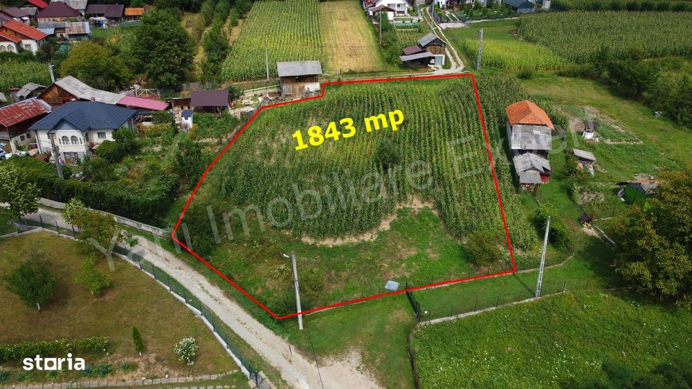 Teren de vânzare în comuna Băiculești, sat Tutana, județ Argeș.