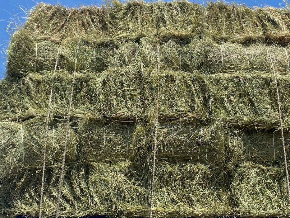 Сено житняк разнотравье