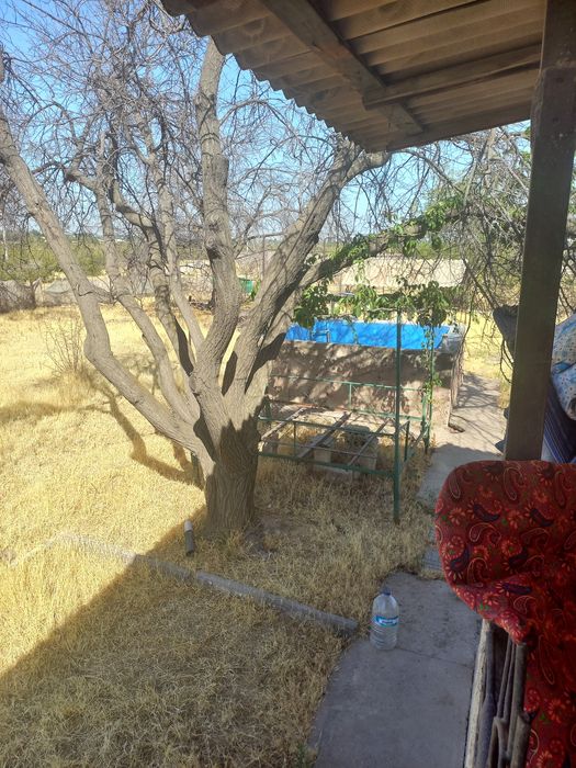 Dacha sotiladi naryini kelishamiz