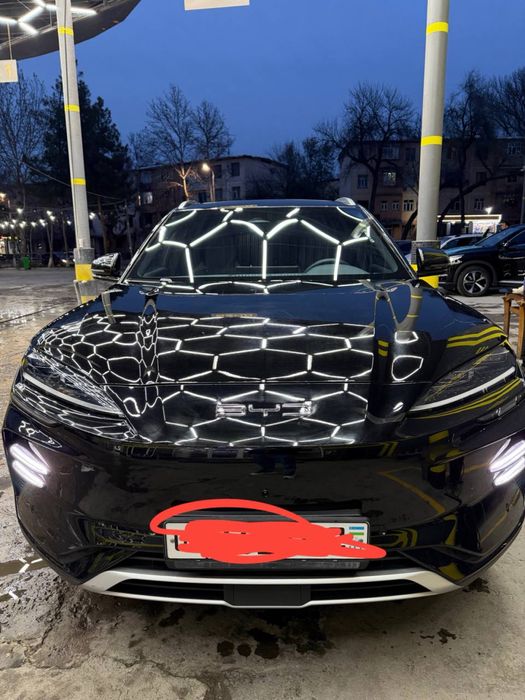 BYD Champion Ideal 605