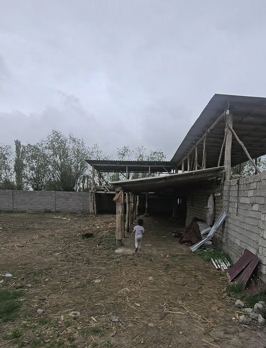 Тошкент вилояти Бука туманида ховли сотилади