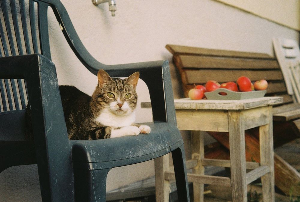 Olympus Mju Superzoom - плёночный