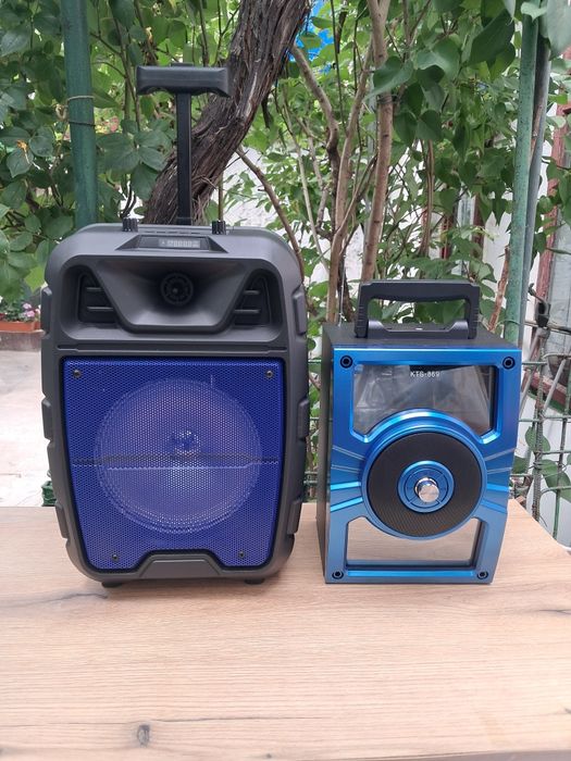 Boxă Bluetooth Microfon Wireless