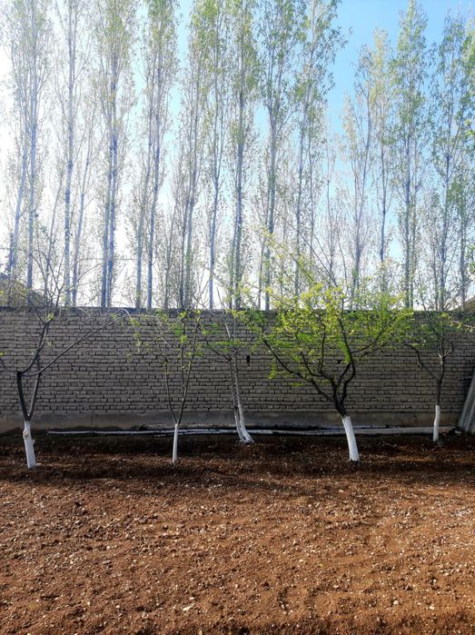 Продаётся участок, ховли чек сотилади.