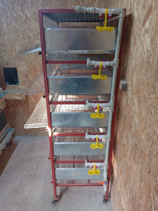 Клетки для перепелов и кур несушек