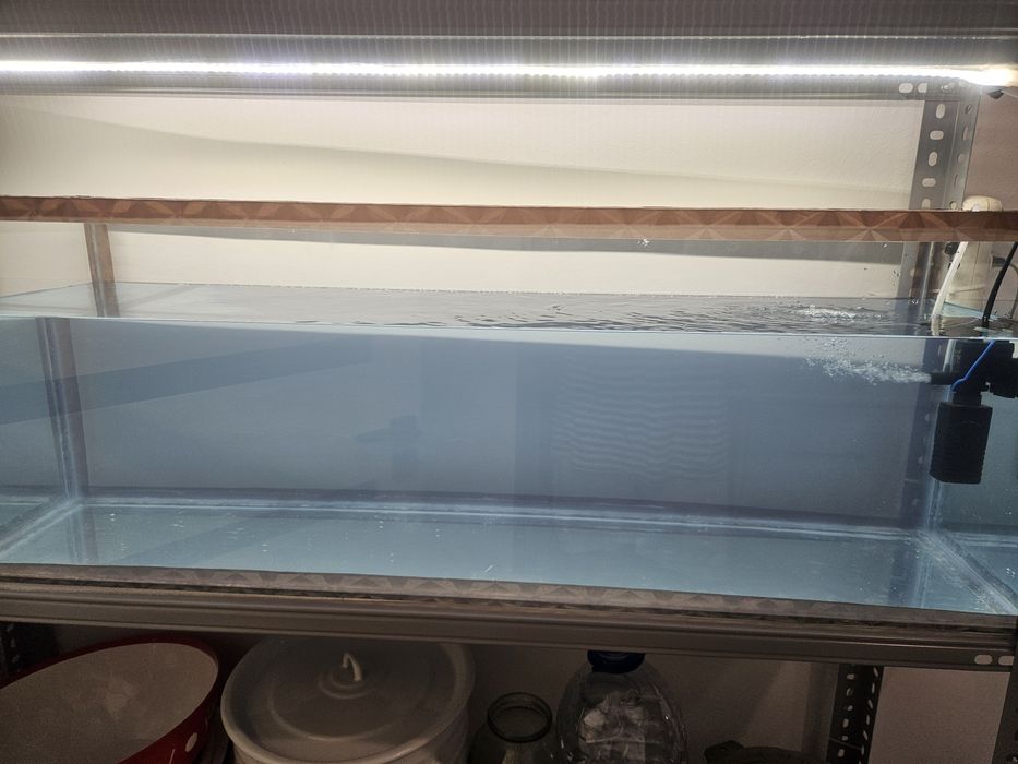 Akvaruy sotiladi hajmi 100l