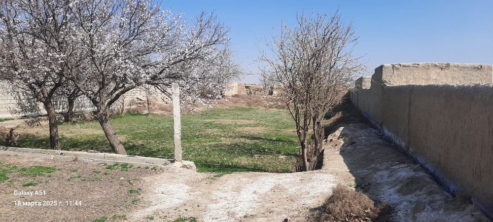 Gijduvon bogdorchlik safxuzi xovli sotiladi