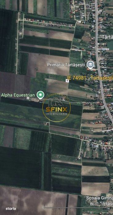 LOT de casa Tartasesti Primarie | teren cu potential