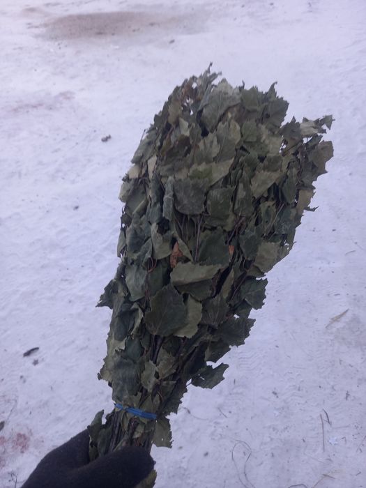 Продам банные веники
