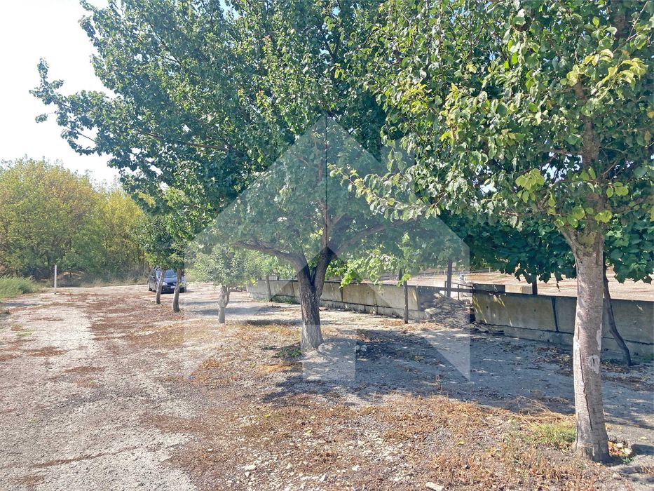 Продава БИЗНЕС имот ФЕРМА-стопанство в с. Зайчино ореше (Нови пазар).