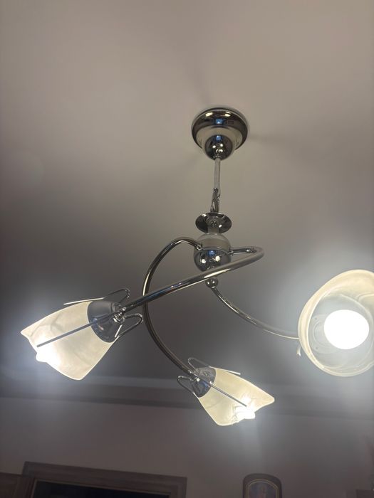 Два броя полилеи