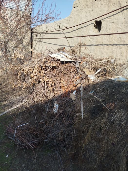 O'tin yuklab olib ketish kerak