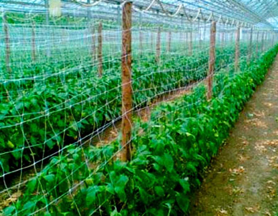 Садовая сетка пластиковая