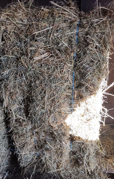 Чисти Бали люцерна