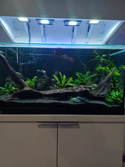 Acvariu 112 Litri