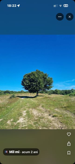 INVESTIȚIE STRATEGICĂ: 4 Hectare Compacte – Sălicea (Zona Vârful Peana), Comuna Ciurila 30€/mp