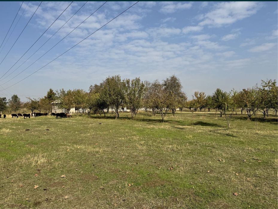 Срочно продаётся 10 гектаров земли в Ахангаране