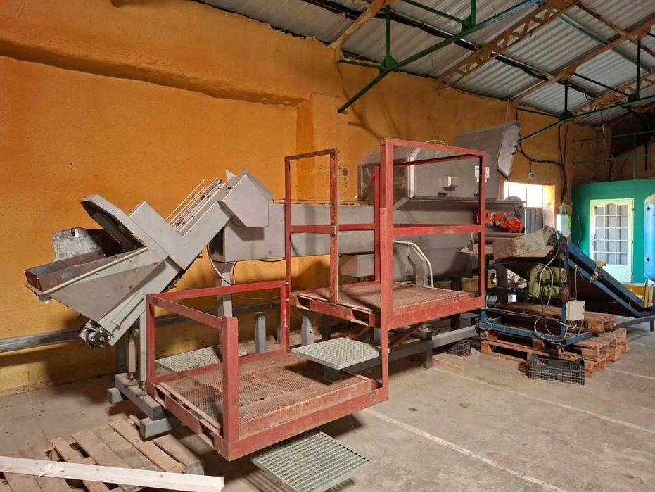 Продаётся линия очистки и обрезки лука SORMAC USM-1 (Голландия)