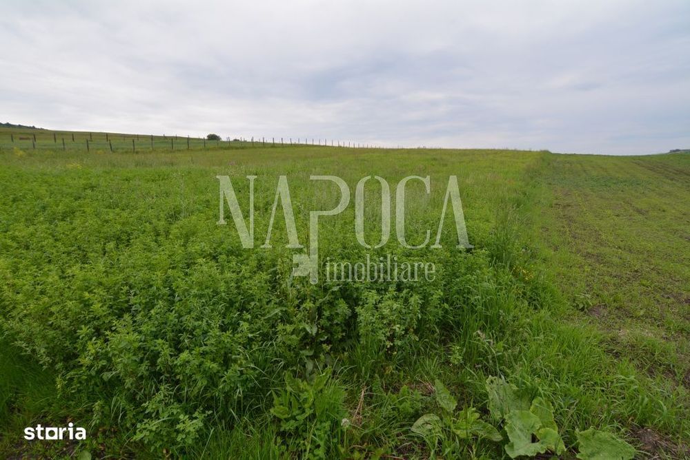 Teren extravilan pentru constructii de vanzare in Popesti