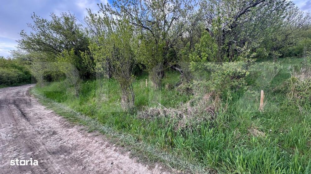Teren extravilan de vanzare, 2.670 mp, Bistrita
