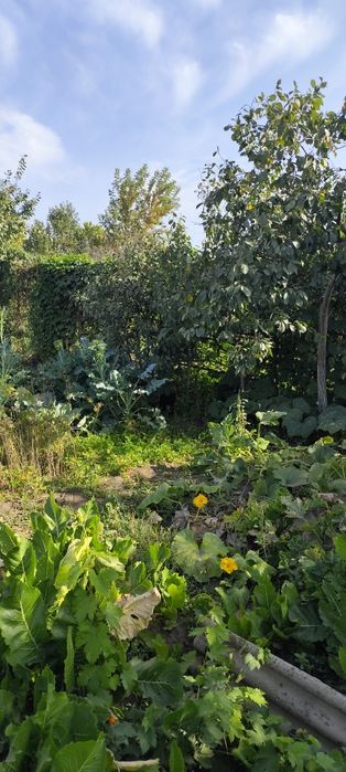 Продам дачу на кривом озере ТЭЦ 3,48А