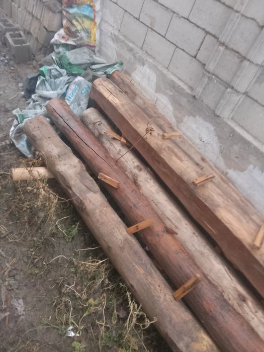 Старапила тусинлар сотилади