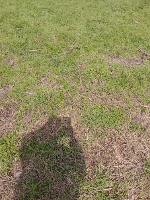 Продава се Парцел в с. Рудник, Област Бургас - 850 кв.м за 24 €/кв.м - Снимка #7